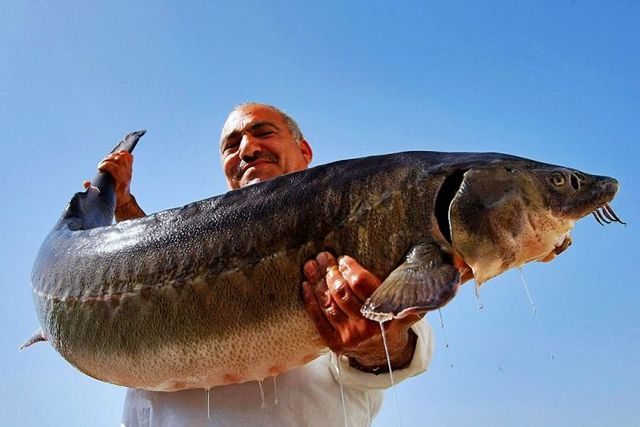 Daily picdump (108 pics)