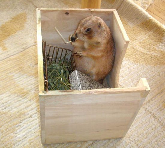 Daily picdump (108 pics)