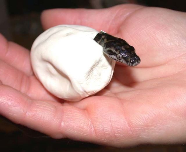 Daily picdump (108 pics)