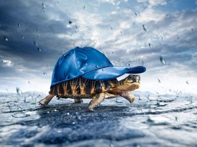 Daily picdump (108 pics)