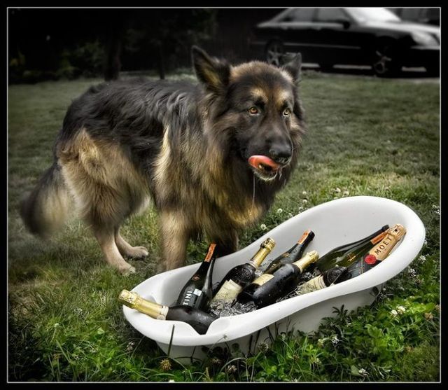 Daily picdump (108 pics)