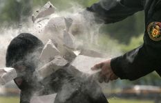 Curiosities and bonus pictures