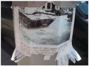 Curiosities and bonus pictures