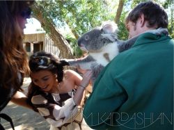 Curiosities and bonus pictures