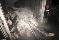 Curiosities and bonus pictures