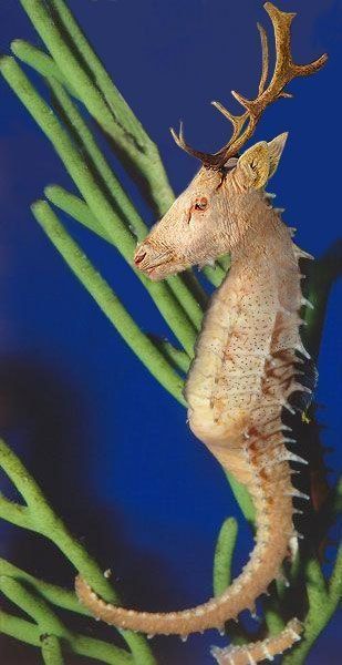 Daily picdump (127 pics)