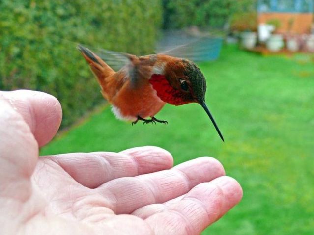 Daily picdump (127 pics)