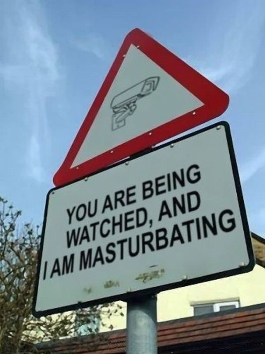 Daily picdump (127 pics)