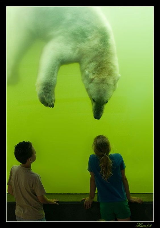 Daily picdump (126 pics)