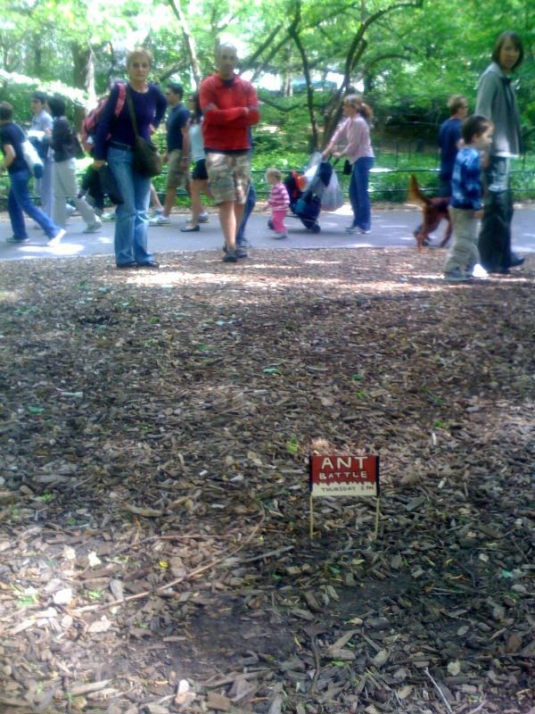 Daily picdump (126 pics)