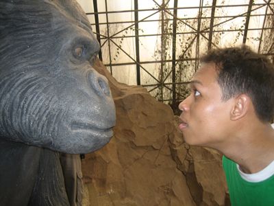 Pictures sent by users (40 pics)