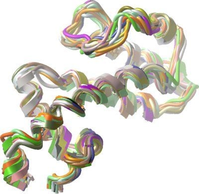 Curiosities and bonus pictures