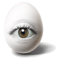 Curiosities and bonus pictures