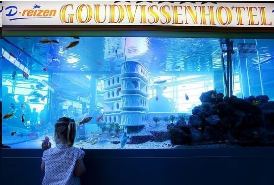 Curiosities and bonus pictures