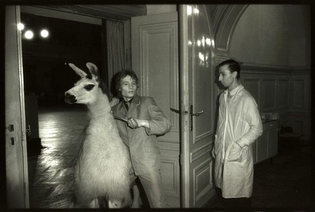 Daily picdump (138 pics)