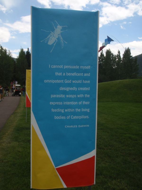 Daily picdump (138 pics)