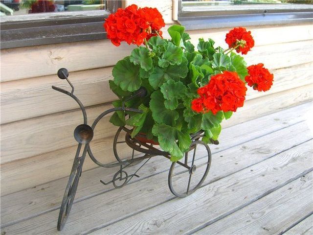 Daily picdump (138 pics)