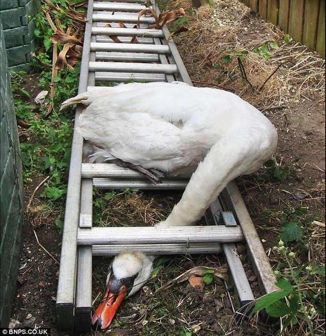 Daily picdump (138 pics)