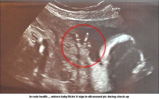 Daily picdump (138 pics)