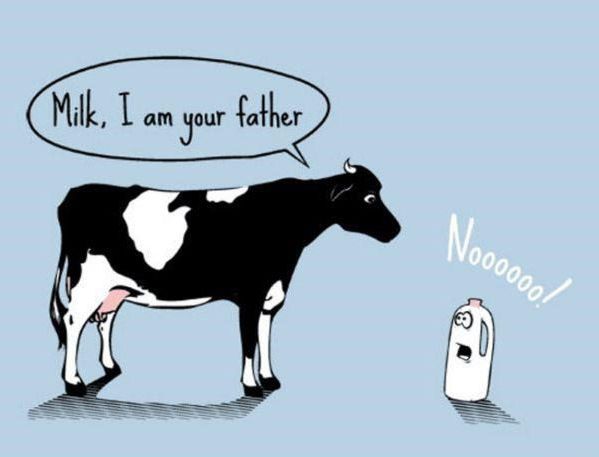 Daily picdump (138 pics)