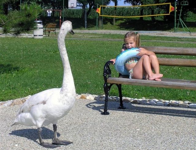 Daily picdump (138 pics)