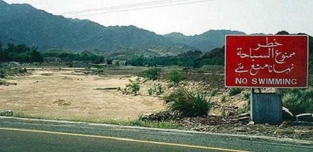 Daily picdump (138 pics)