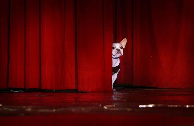 Daily picdump (103 pics)