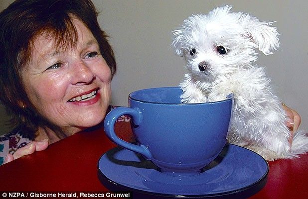 Daily picdump (103 pics)