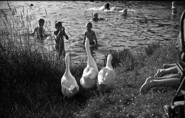 Daily picdump (103 pics)