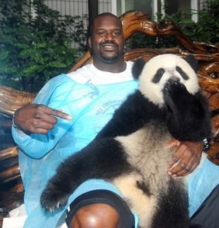 Curiosities and bonus pictures