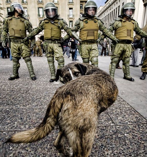 Daily picdump (103 pics)