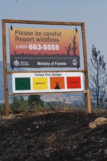 Daily picdump (103 pics)