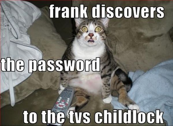 Daily picdump (103 pics)