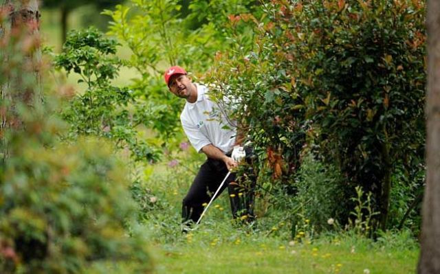 Daily picdump (103 pics)