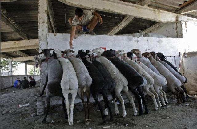 Daily picdump (102 pics)