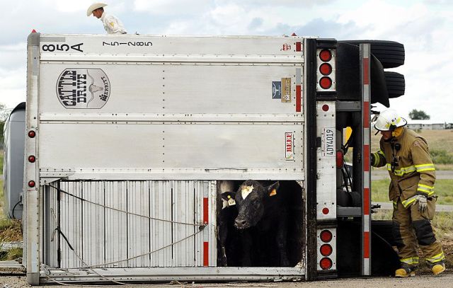 Daily picdump (102 pics)