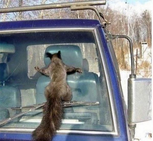 Daily picdump (102 pics)