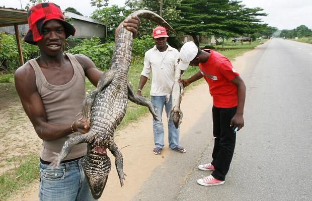 Daily picdump (102 pics)