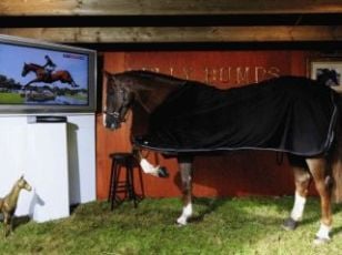 Curiosities and bonus pictures