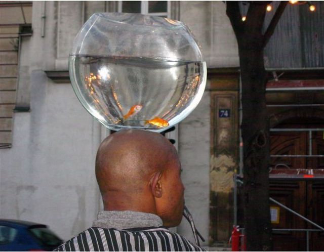 Daily picdump (138 pics)