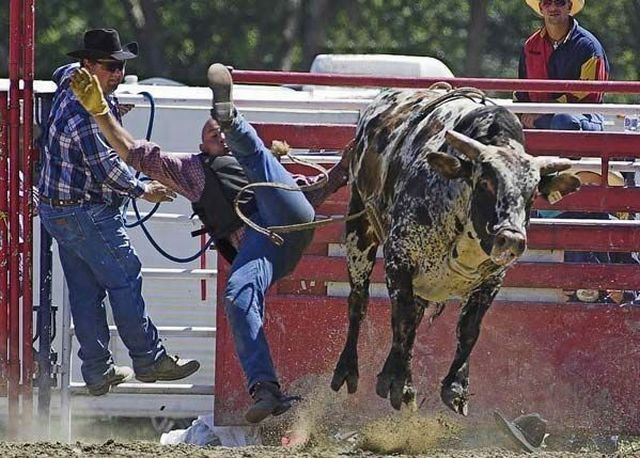 Daily picdump (138 pics)