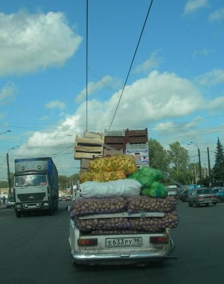 Daily picdump (138 pics)