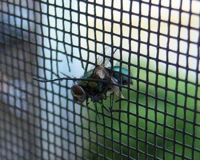 Shit happens. Part 2 (65 pics)