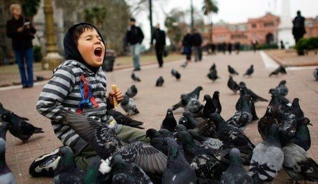 Shit happens. Part 2 (65 pics)