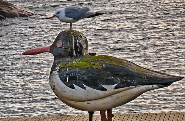 Shit happens. Part 2 (65 pics)