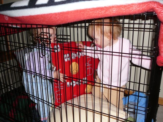 Children in cages (30 pics)