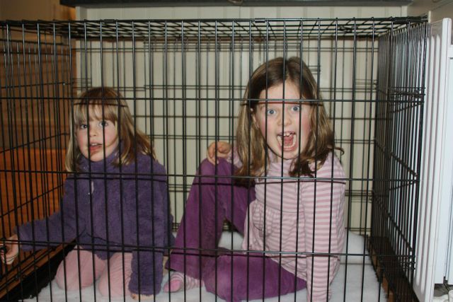 Children in cages (30 pics)