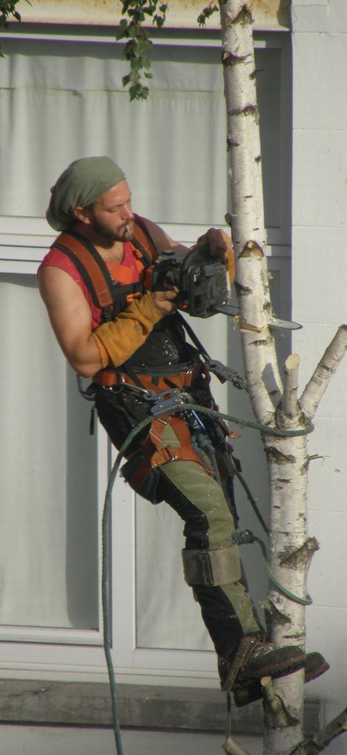 Daily picdump (149 pics)