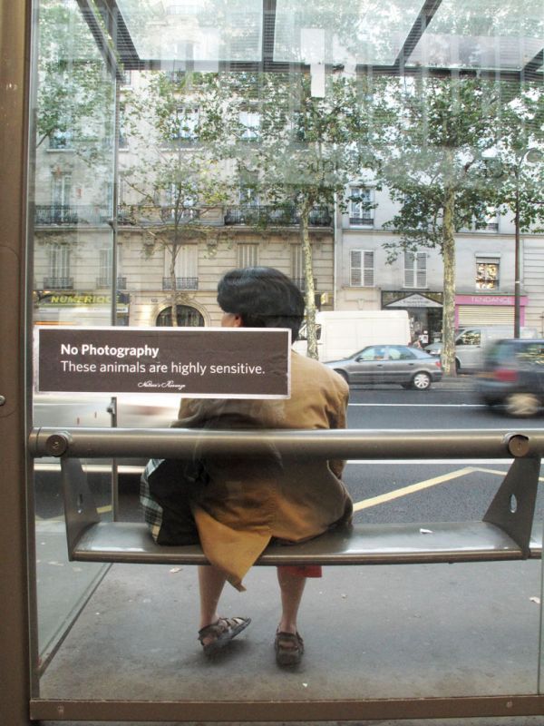 Daily picdump (149 pics)