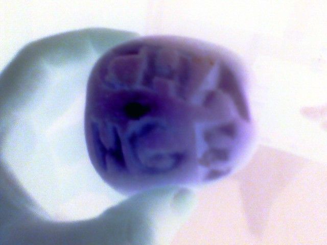 Pictures sent by users (53 pics)